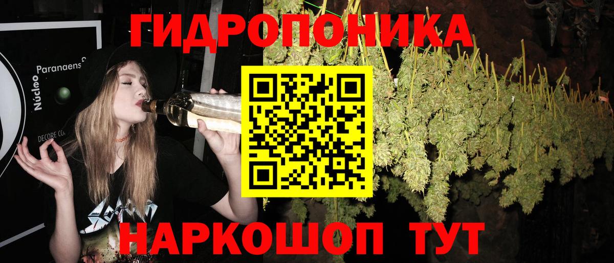 Каннабис Bruce Banner  Вход с VPN  Бошки марихуана THC 21%  Шишки марихуана сатива  Родники  Шишки марихуана семена 
